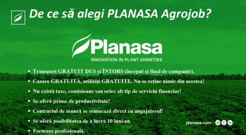 Personal feminin pentru depozit in Spania