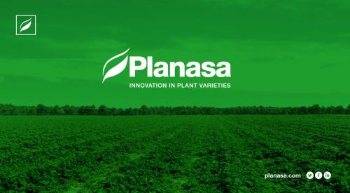 Inscrieri pentru Planasa Viveros