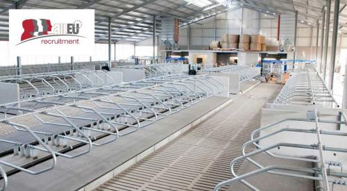 Sudori MIG-MAG semiautomat - Belgia