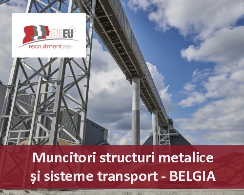 Muncitori structuri metalice si sisteme de transport