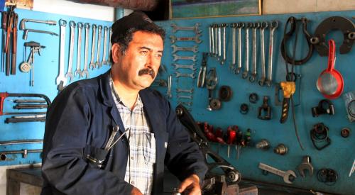 MECANIC AUTO-CAMIOANE