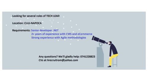 Technical Lead roles