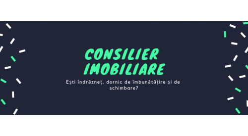 Consilier imobiliar