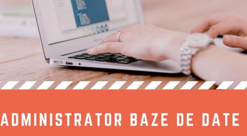 Administrator baze de date Oracle/SqlServer/PostgreSql