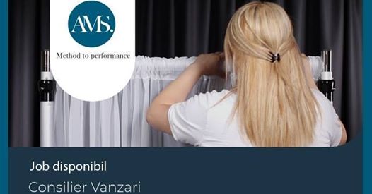 Consilier Vanzari & Decorator