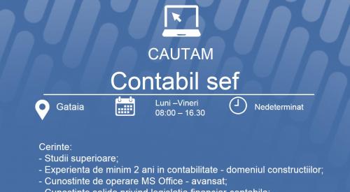 Contabil Sef in localitatea Gataia