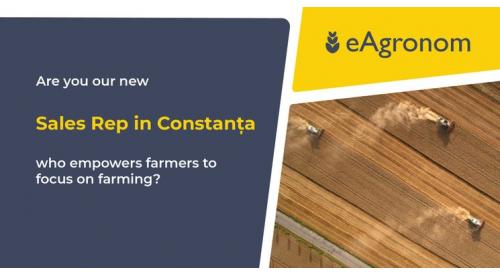 Sales Representative