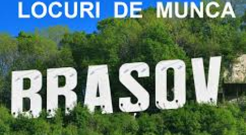 Analist Credite cu limba germană