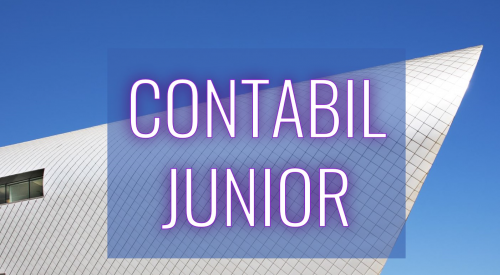 Contabil Junior