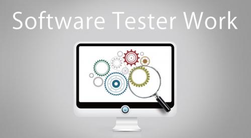 Software Tester Manager