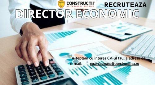 DIRECTOR ECONOMIC