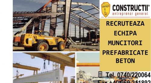 Angajam echipa/muncitori prefabricate beton