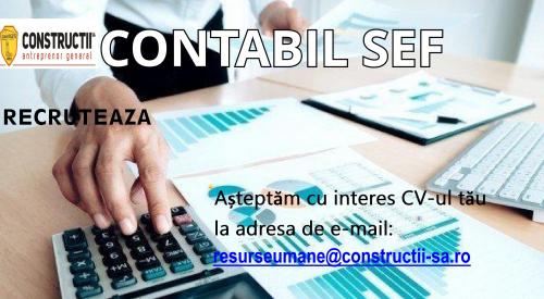CONTABIL SEF