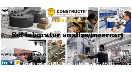 SEF LABORATOR ANALIZE/INCERCARI IN CONSTRUCTII