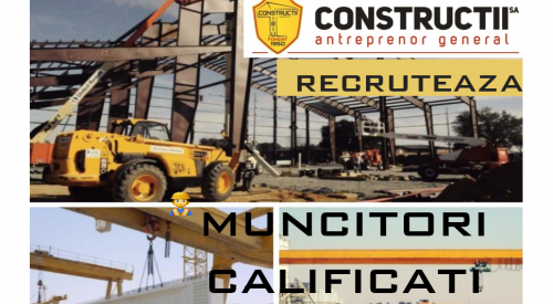 Muncitori necalificati/calificati (dulgheri, fierari betonisti, zidari)