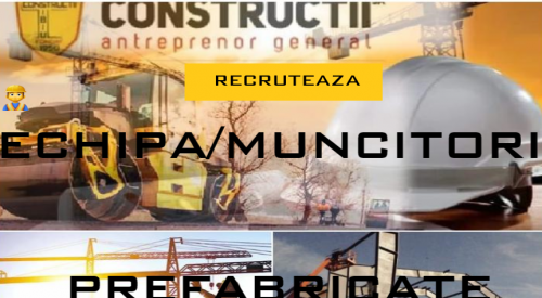 Echipa/muncitori prefabricate beton