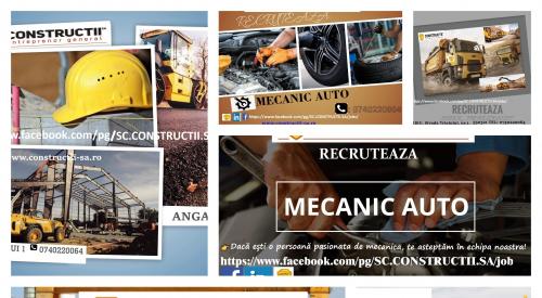 Mecanic auto, Sofer profesionist