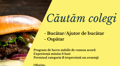 Bucatar/Ajutor de bucatar si ospatar