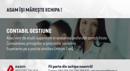 CONTABIL GESTIUNE