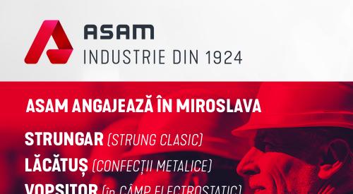 Muncitori calificati Miroslava