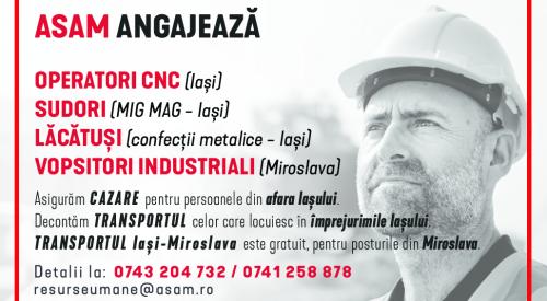 Lacatusi, Vopsitori, Sudori