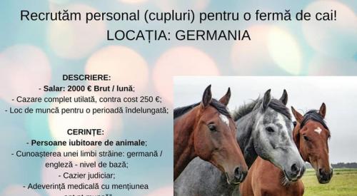 Cautam cupluri pentru o ferma