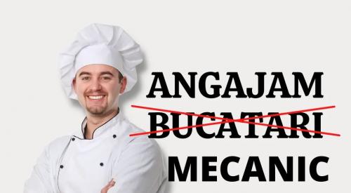 Cautam mecanic - ServiceTIM