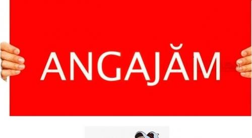 Angajam MECANIC AUTO