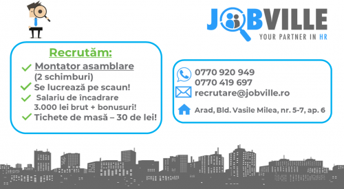 Montator subansamble - 2 schimburi